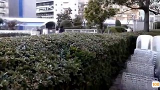 了凡四训白话文TMD！居然在黄色网站看到了自己的女朋友【约妹看下遍简阶】
